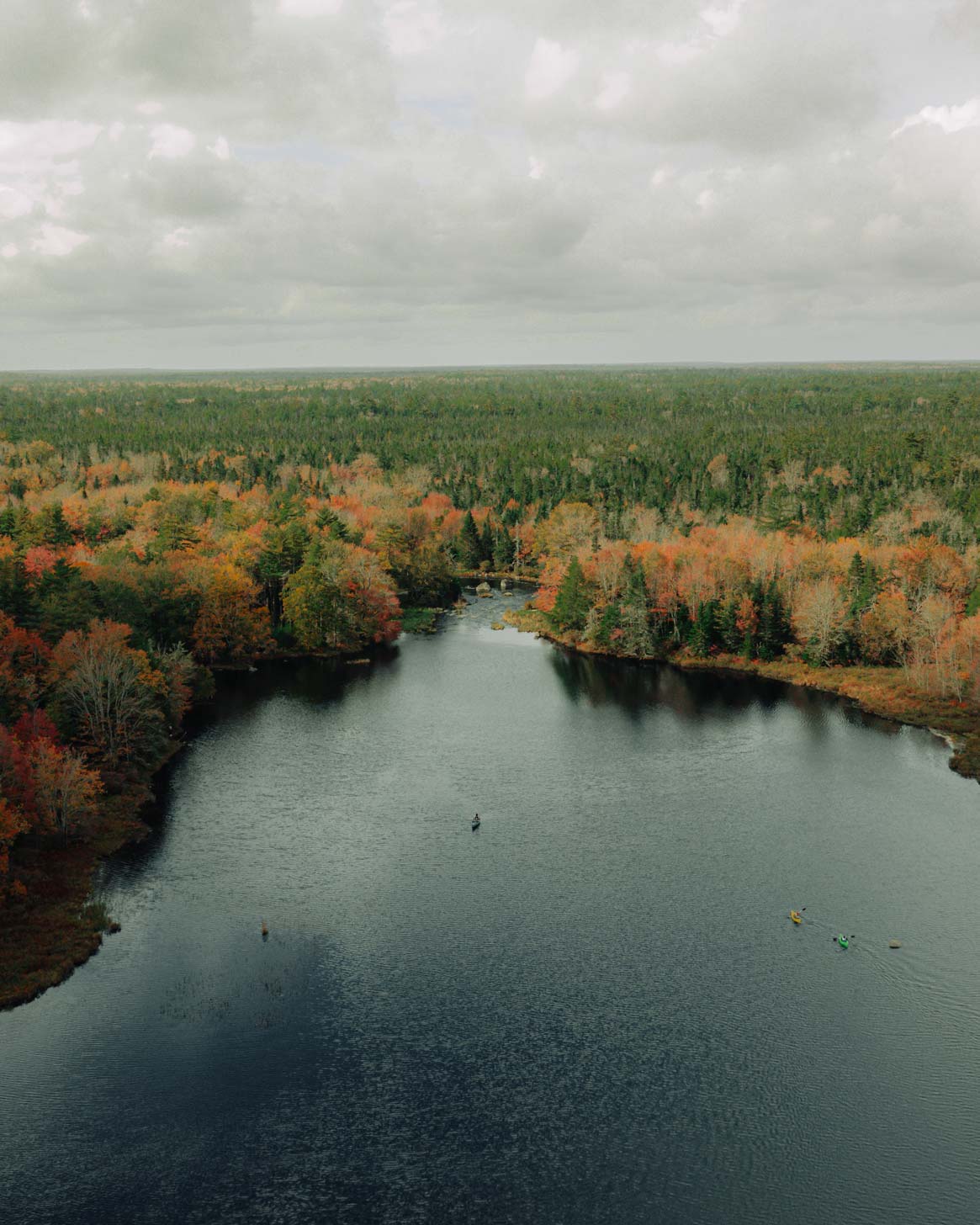 Trout point lodge
